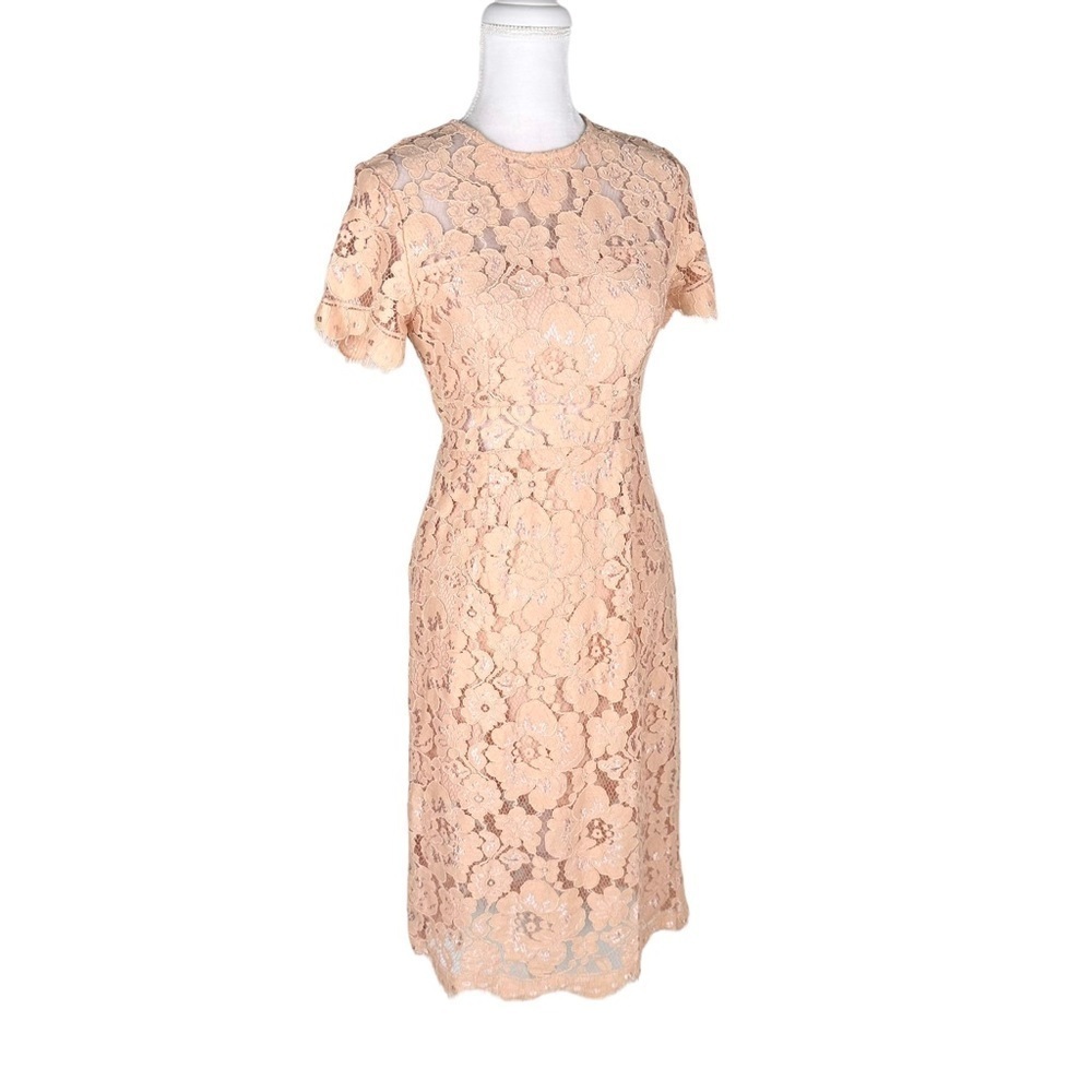NSR x Revolve beige lace midi dress short sleeves sheer at waist sz small
